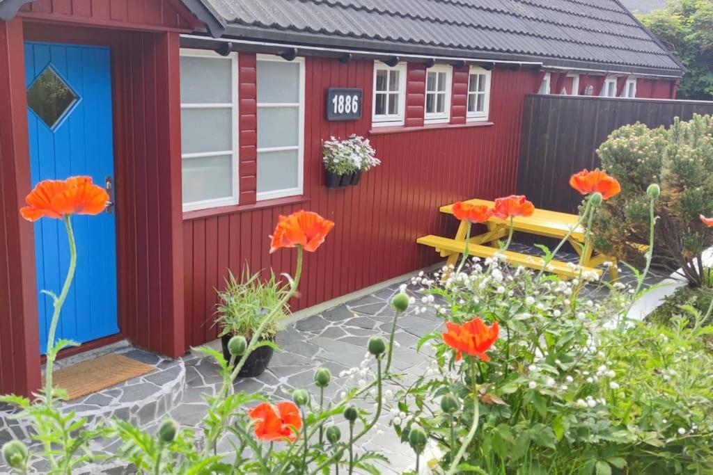 Cozy Cottage Klaksvík Kültér fotó